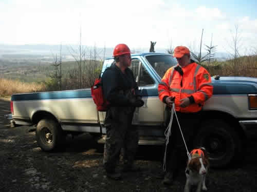 Working with search dog